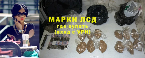 ГАЛЛЮЦИНОГЕННЫЕ ГРИБЫ Иннополис
