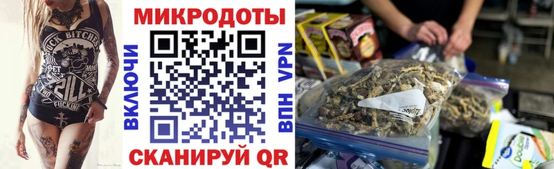Купить закладки  Дубовка  Галлюциногенные грибы Psilocybe 