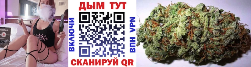 Купить закладки  Дубовка  Бошки Шишки Amnesia 